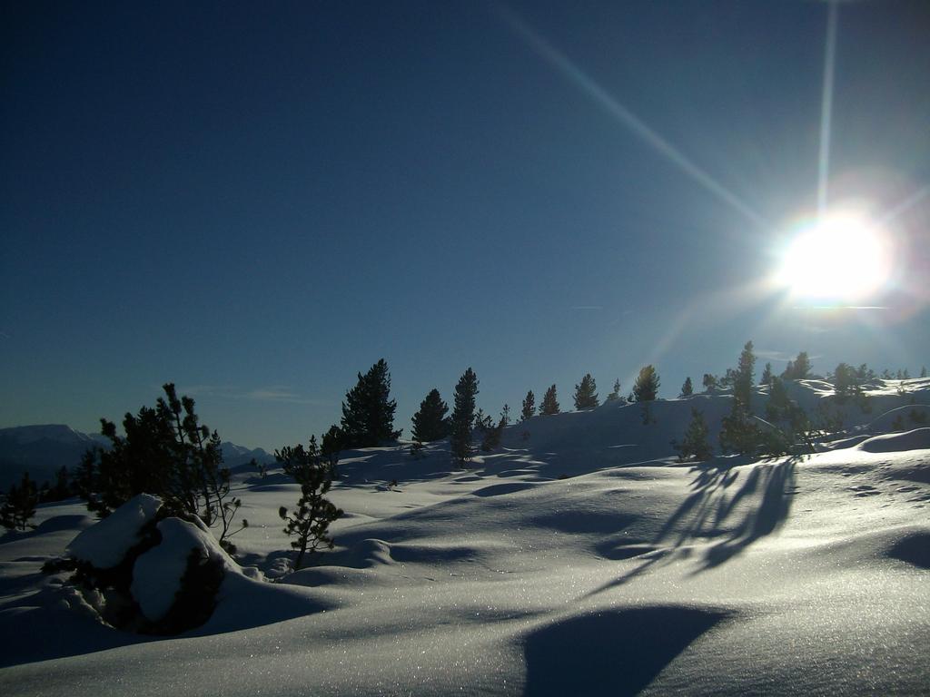 Schartnerhof Collalbo Quarto foto